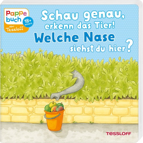 Schau genau, erkenn das Tier! Welche Nase siehst du hier?