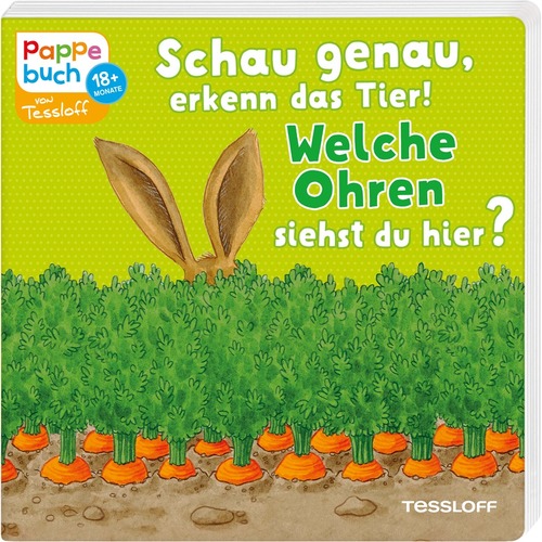 Schau genau, erkenn das Tier! Welche Ohren siehst du hier?